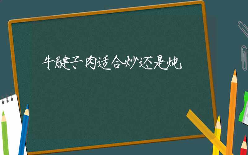 牛腱子肉适合炒还是炖